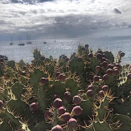 Casa Soleada * Arona (Tenerife)