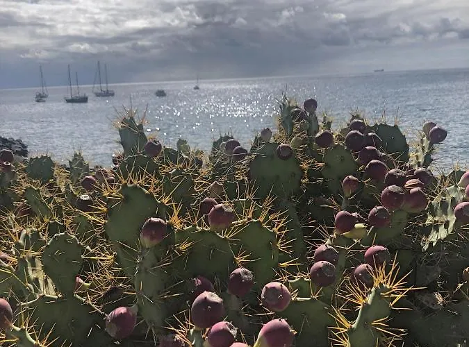 Casa Soleada * Arona (Tenerife)